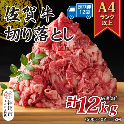 【12か月定期便】【A4～A5】佐賀牛切り落とし 1kg(小分け)×12回(H112314)