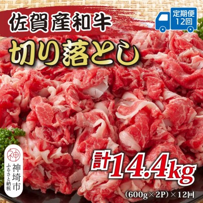 【12か月定期便】訳あり佐賀産和牛切り落とし 1.2kg(小分け)×12回(H112320)