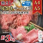 【6か月定期便】【厳選部位】【A4～A5】佐賀牛サーロイン 500g×6回(H112203)
