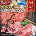 【12か月定期便】【A4～A5】佐賀牛サーロイン 1kg(小分け)×12回(H112210)