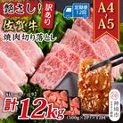 【12か月定期便】訳ありA4～A5 佐賀牛焼肉切り落とし 1kg(小分け)×12回(H112243)