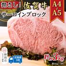 【3か月定期便】【A4～A5】佐賀牛サーロインブロック 約1kg×3回(H112268)