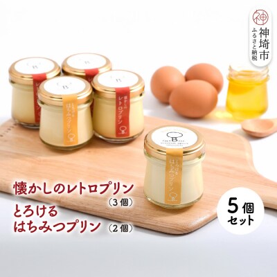 【えこびと】懐かしのレトロプリン・とろけるはちみつプリン5個セット(H037138)