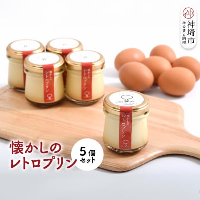 えこびとの懐かしのレトロプリン5個セット(H037139)