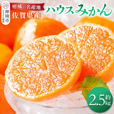 【先行受付 令和8年6月より発送開始】佐賀県産『ハウスみかん』約2500g(H108115)