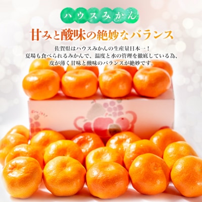 【先行受付 令和8年6月より発送開始】佐賀県産『ハウスみかん』約2500g(H108115)
