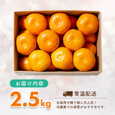 【先行受付 令和8年6月より発送開始】佐賀県産『ハウスみかん』約2500g(H108115)