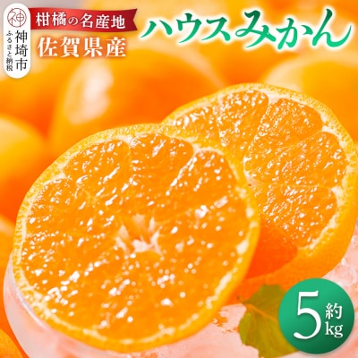【先行受付 令和8年6月より発送開始】佐賀県産『ハウスみかん』約5000g(H108116)