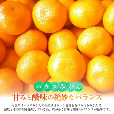 【先行受付 令和8年6月より発送開始】佐賀県産『ハウスみかん』約5000g(H108116)