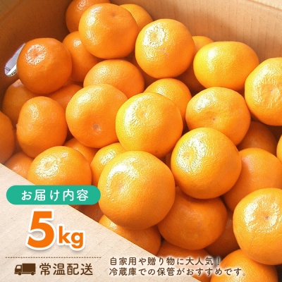 【先行受付 令和8年6月より発送開始】佐賀県産『ハウスみかん』約5000g(H108116)