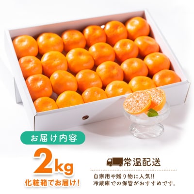 【先行受付 令和8年6月より発送】佐賀県産『ハウスみかん』約2000g 化粧箱入り(H108117)