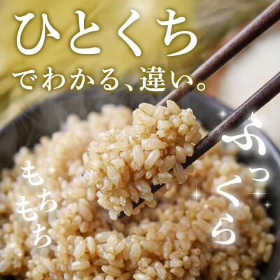 【令和8年産 新米先行受付】さがびより 玄米 10kg【10ヶ月定期便】農園(H061D99)
