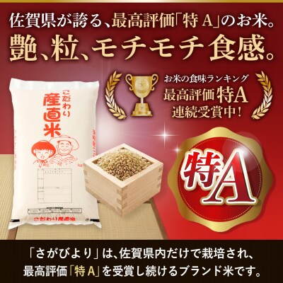 【令和8年産 新米先行受付】さがびより 玄米 10kg【10ヶ月定期便】農園(H061D99)