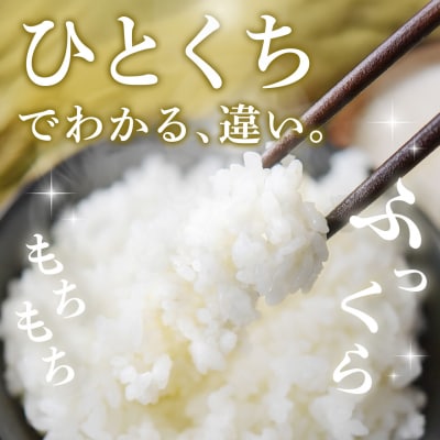 【令和8年産 新米先行受付】さがびより 精米 5kg×2【3ヶ月定期便】農園(H061E10)