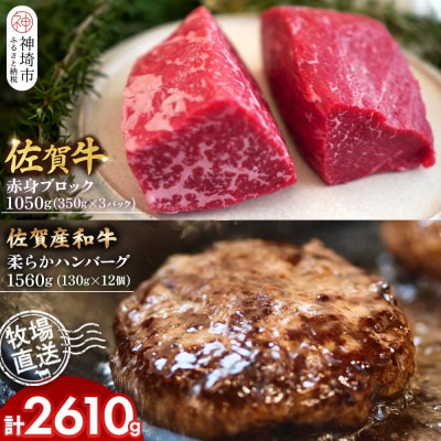 佐賀牛 赤身ブロック1050g・柔らかハンバーグ12個(H122104)