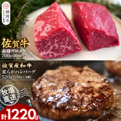 佐賀牛 赤身ブロック700g・柔らかハンバーグ4個(H122105)