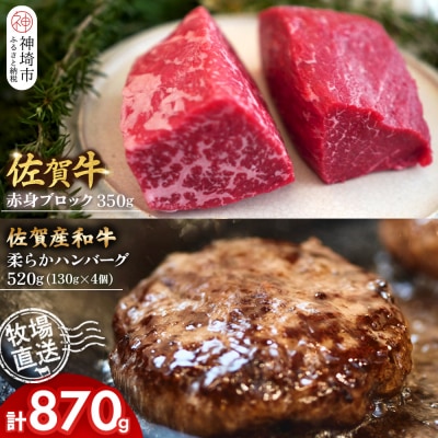 佐賀牛 赤身ブロック350g・柔らかハンバーグ4個(H122106)