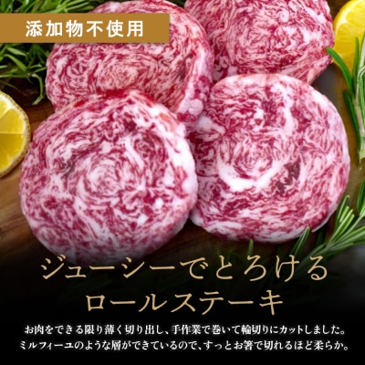 佐賀牛 赤身ブロック700g ロールステーキ4枚(H122108)