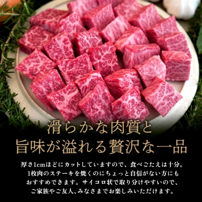 佐賀牛 希少部位焼肉用450g サイコロステーキ450g(H122119)