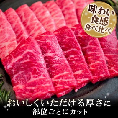 佐賀牛 希少部位焼肉用300g ステーキ300g(H122123)