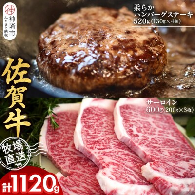 佐賀牛 サーロインステーキ3枚 柔らかハンバーグステーキ4個(H122127)