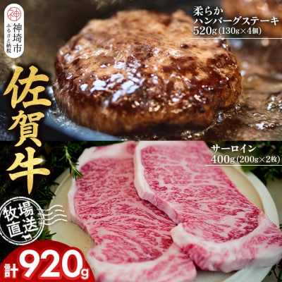佐賀牛 サーロインステーキ2枚 柔らかハンバーグステーキ4個(H122128)