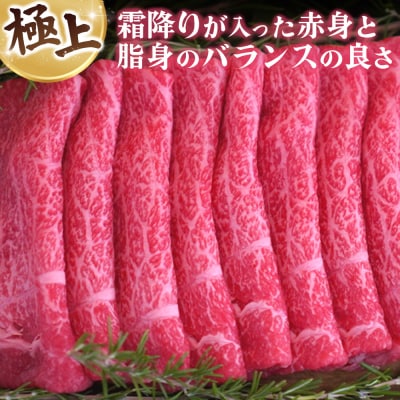 佐賀牛 サーロインステーキ400g すきやき用800g 2種セット(H122134)