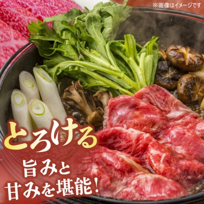 佐賀牛 サーロインステーキ2枚すきやき用切落500g(H122125)