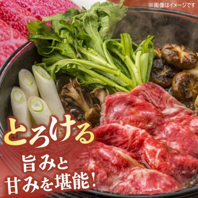 佐賀牛 サーロインステーキ1枚すきやき用切落500g(H122126)