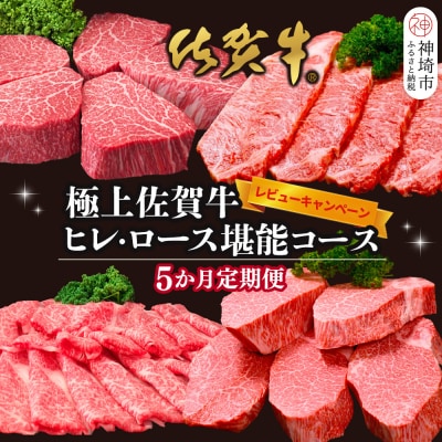 【レビューキャンペーン】【5か月連続定期便】極上佐賀牛ヒレ・ロース堪能コース(H996P112)