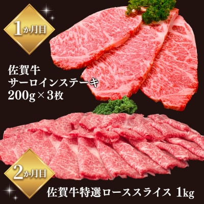 【レビューキャンペーン】【2か月連続定期便】佐賀牛食べ比べコース(H996P113)