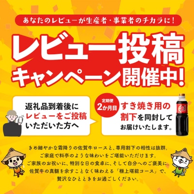 【レビューキャンペーン】【2か月連続定期便】佐賀牛食べ比べコース(H996P113)