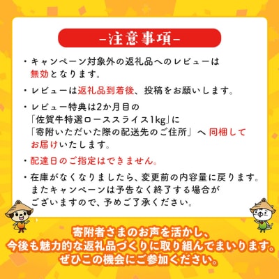 【レビューキャンペーン】【2か月連続定期便】佐賀牛食べ比べコース(H996P113)