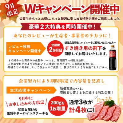 【4か月定期便 期間限定!生活応援&レビュー投稿で特典】佐賀牛満足食べ比べコース(H996P114)