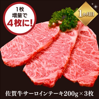 【5か月連続定期便】【期間限定!生活応援キャンペーン】佐賀牛満足食べ比べコース(H996P115)