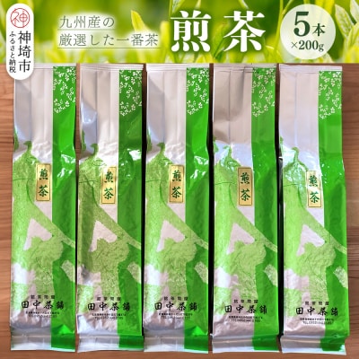普段使いに「煎茶」200g×5本(H047118)
