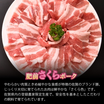 肥前さくらポーク 焼肉用 豚バラ 600g(H123109)