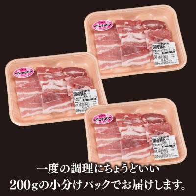 肥前さくらポーク 焼肉用 豚バラ 600g(H123109)