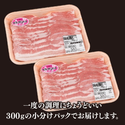 肥前さくらポーク しゃぶしゃぶ用 豚バラ 600g(H123110)