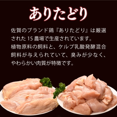 【3カ月定期便】ありたどり 胸肉 3.1kg×3回 計9.3kg(H123113)