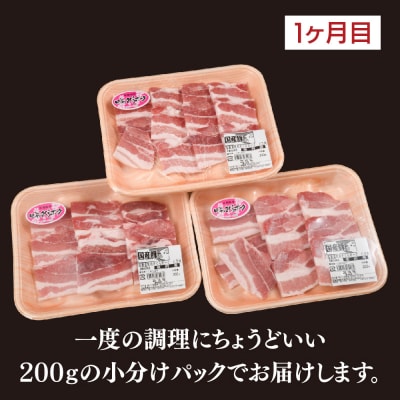 【3カ月定期便】肥前さくらポーク 焼肉・しゃぶしゃぶ・ブロック 計1.95kg(H123116)