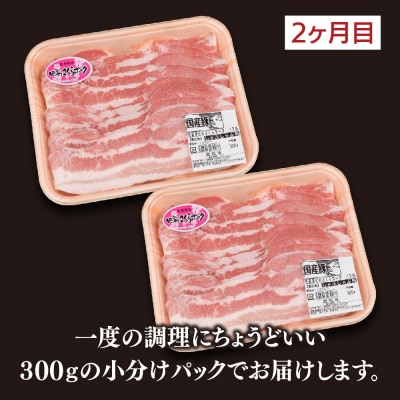 【3カ月定期便】肥前さくらポーク 焼肉・しゃぶしゃぶ・ブロック 計1.95kg(H123116)