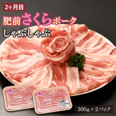 【3カ月定期便】ありたどり・肥前さくらポーク 計5.5kg(H123119)