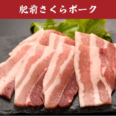 佐賀焼肉セット(牛・鳥・豚) 750g(H123112)