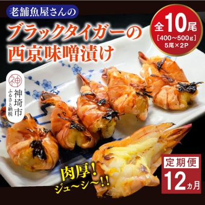 【12カ月定期便】ブラックタイガーの西京味噌漬け 5尾×2パック×12回(H032144)