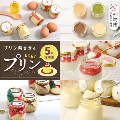 「プリン県さが」のわくわくプリン定期便〈5回定期便〉(H996P119)