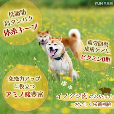 脊振ジビエの YUMYAM JERKY(H121101)