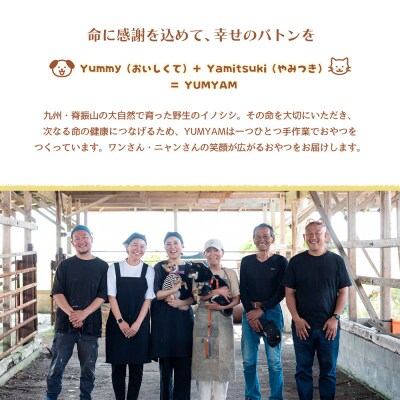 脊振ジビエの YUMYAM JERKY(H121101)