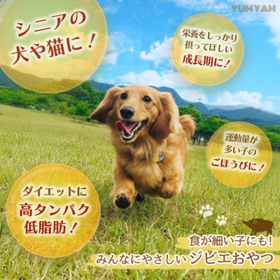 脊振ジビエの YUMYAM JERKYセット(H121102)