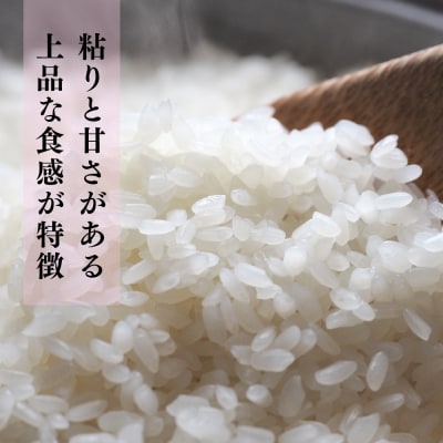 【令和8年産 新米 先行受付】ひよくもち5kg 農園(H061D27)